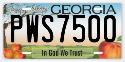 GA license plate PWS7500