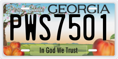 GA license plate PWS7501
