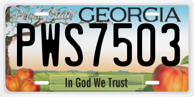 GA license plate PWS7503