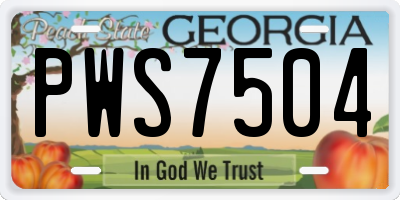GA license plate PWS7504