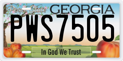 GA license plate PWS7505