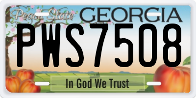 GA license plate PWS7508