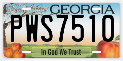 GA license plate PWS7510