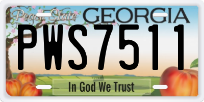 GA license plate PWS7511