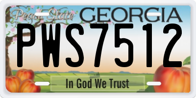 GA license plate PWS7512
