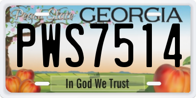 GA license plate PWS7514