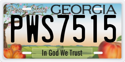 GA license plate PWS7515