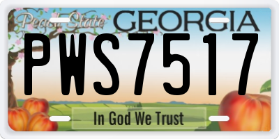 GA license plate PWS7517