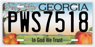 GA license plate PWS7518