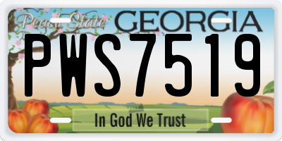 GA license plate PWS7519