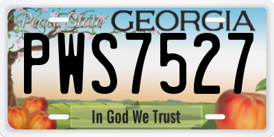 GA license plate PWS7527