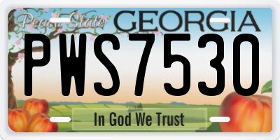 GA license plate PWS7530