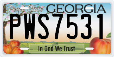 GA license plate PWS7531