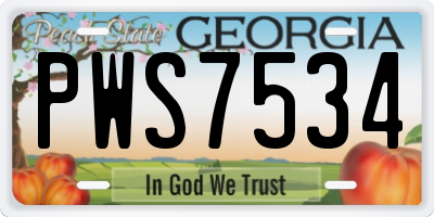GA license plate PWS7534