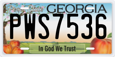 GA license plate PWS7536