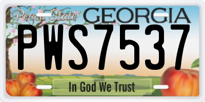 GA license plate PWS7537