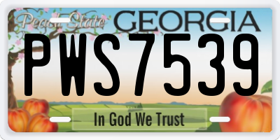 GA license plate PWS7539