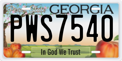 GA license plate PWS7540