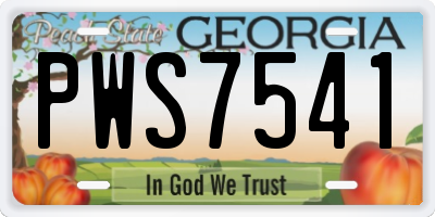 GA license plate PWS7541