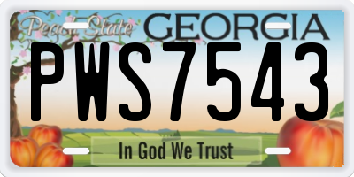 GA license plate PWS7543