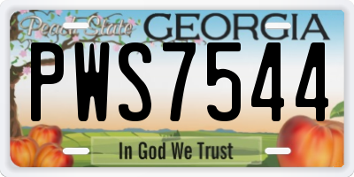 GA license plate PWS7544