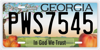 GA license plate PWS7545