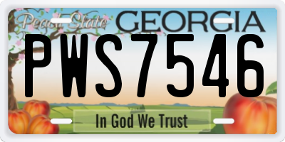 GA license plate PWS7546