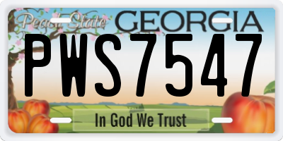 GA license plate PWS7547