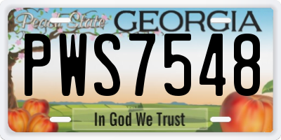 GA license plate PWS7548
