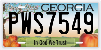 GA license plate PWS7549