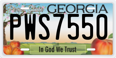 GA license plate PWS7550