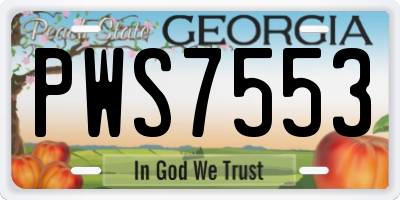 GA license plate PWS7553