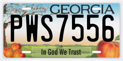 GA license plate PWS7556
