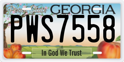 GA license plate PWS7558