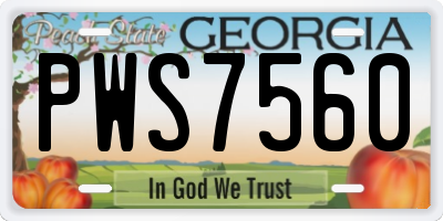 GA license plate PWS7560