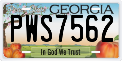 GA license plate PWS7562
