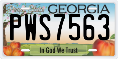GA license plate PWS7563