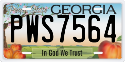 GA license plate PWS7564