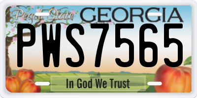 GA license plate PWS7565