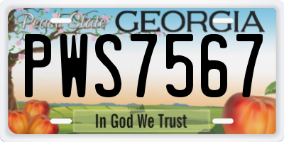 GA license plate PWS7567