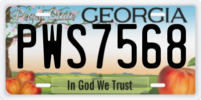 GA license plate PWS7568