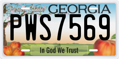 GA license plate PWS7569