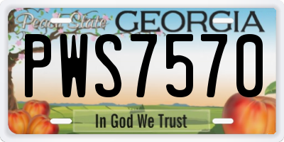 GA license plate PWS7570