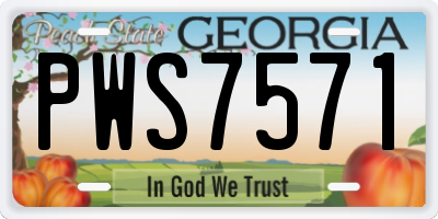 GA license plate PWS7571