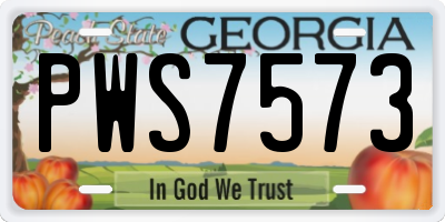 GA license plate PWS7573