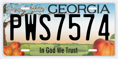 GA license plate PWS7574