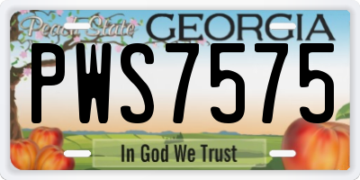 GA license plate PWS7575