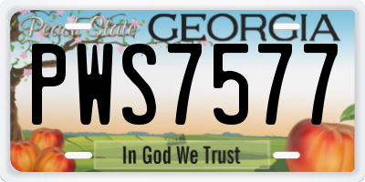 GA license plate PWS7577