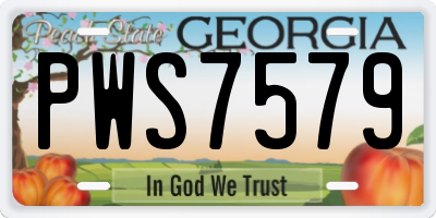GA license plate PWS7579