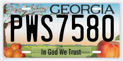 GA license plate PWS7580